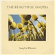 The Beautiful South - Song For Whoever